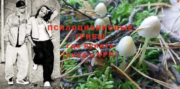 MDMA Premium VHQ Каменка