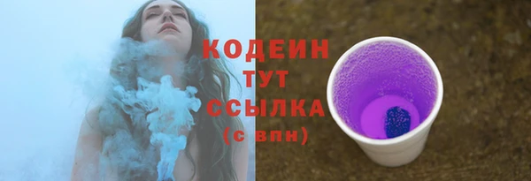 стафф Каменногорск