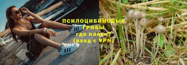 MDMA Premium VHQ Каменка