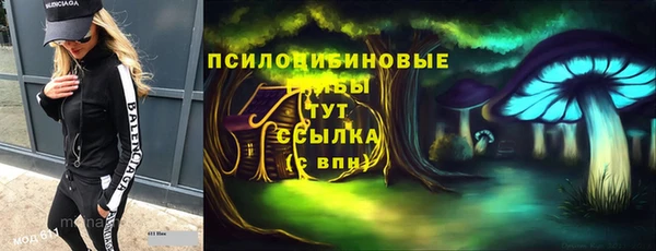 стафф Каменногорск
