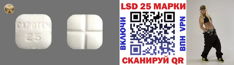 Лсд 25 экстази ecstasy  купить закладку  Петропавловск-Камчатский 