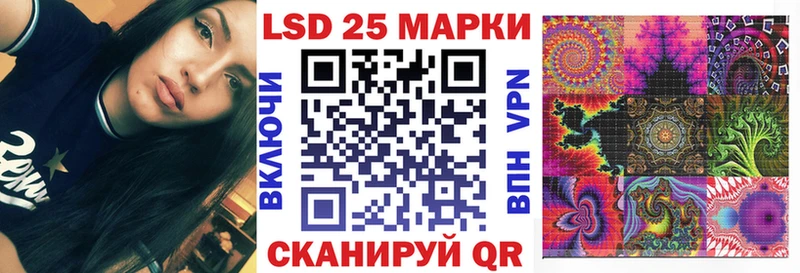 как найти наркотики  Петропавловск-Камчатский  hydra рабочий сайт  Марки 25I-NBOMe 1500мкг 