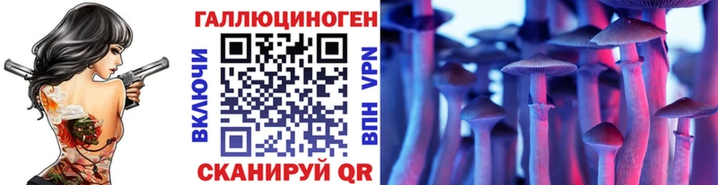 ссылка на мегу как войти  купить наркотик  Петропавловск-Камчатский  Псилоцибиновые грибы мухоморы 