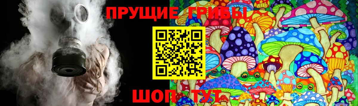 Петропавловск-Камчатский  Галлюциногенные грибы Cubensis  Вход с VPN 